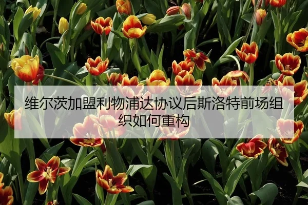 维尔茨加盟利物浦达协议后斯洛特前场组织如何重构